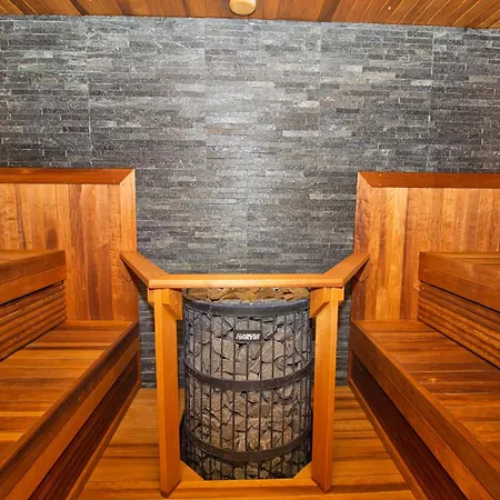 Luxurious With Sauna And Terrace Apartment