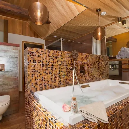 Luxurious With Sauna And Terrace Apartment