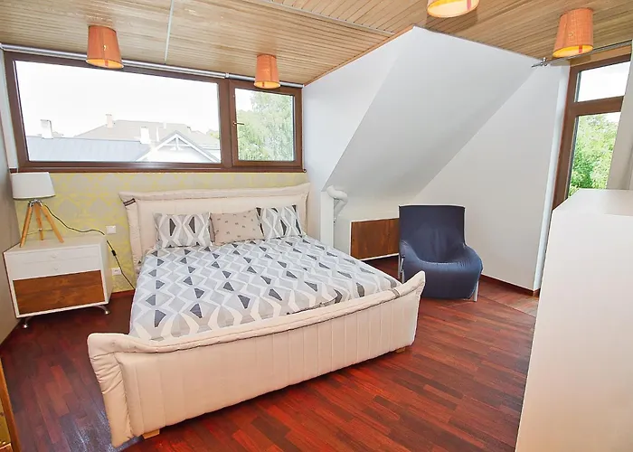 Luxurious With Sauna And Terrace 公寓 派尔努